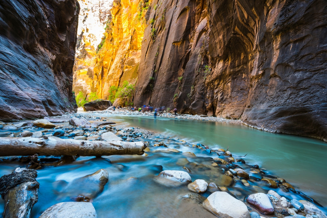 best hikes in zion narrow canyon river