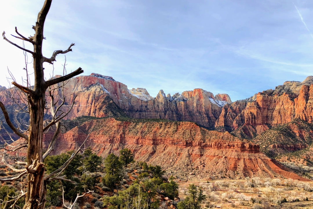 best hikes in zion red rock vista with green trees