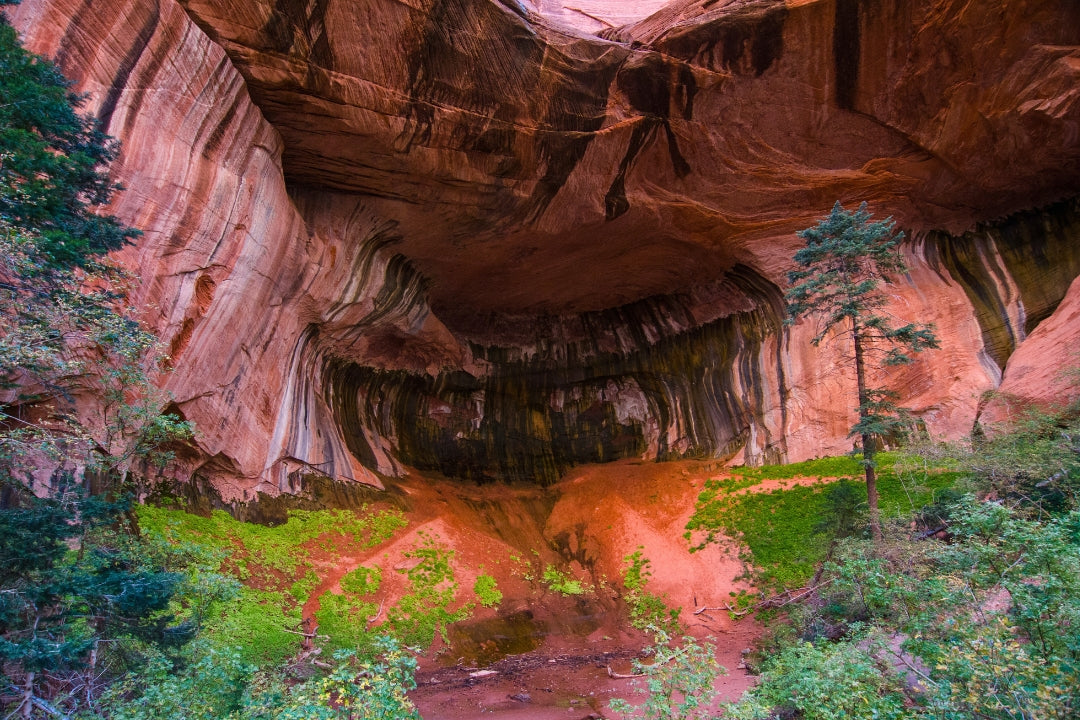 best zion hikes red canyon cave walls streaked in black