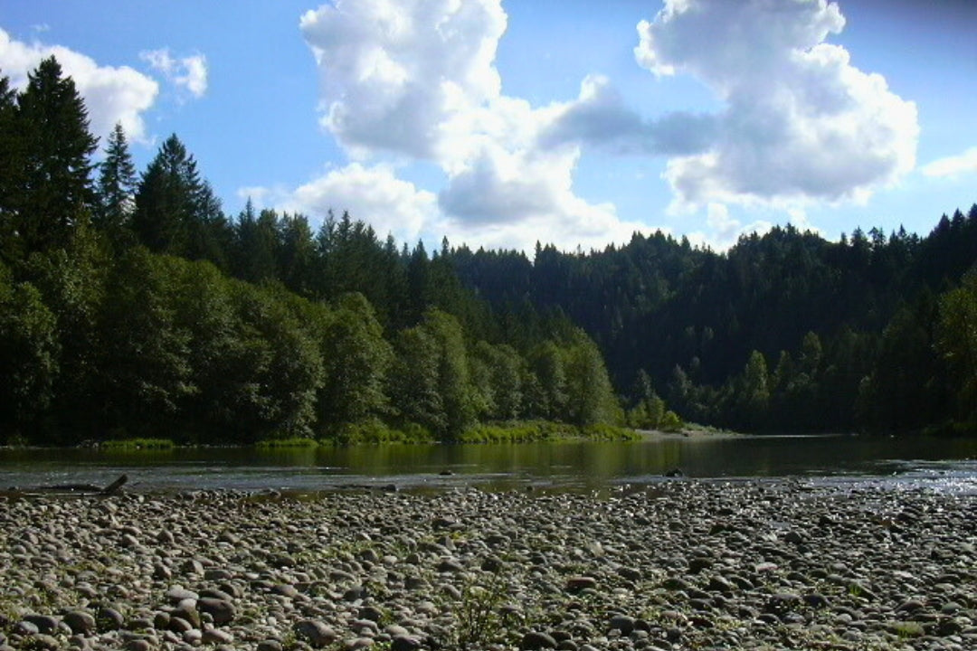 camping portland shallow lake with pebbles and evergreens