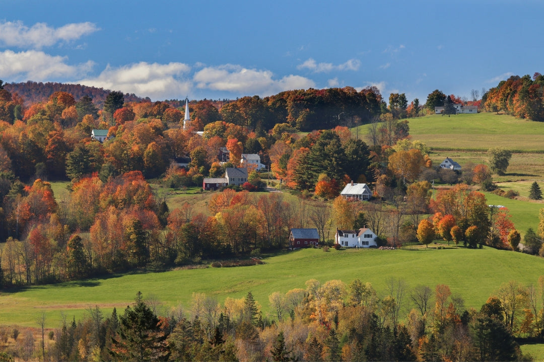 fall foliage new england farm buildings