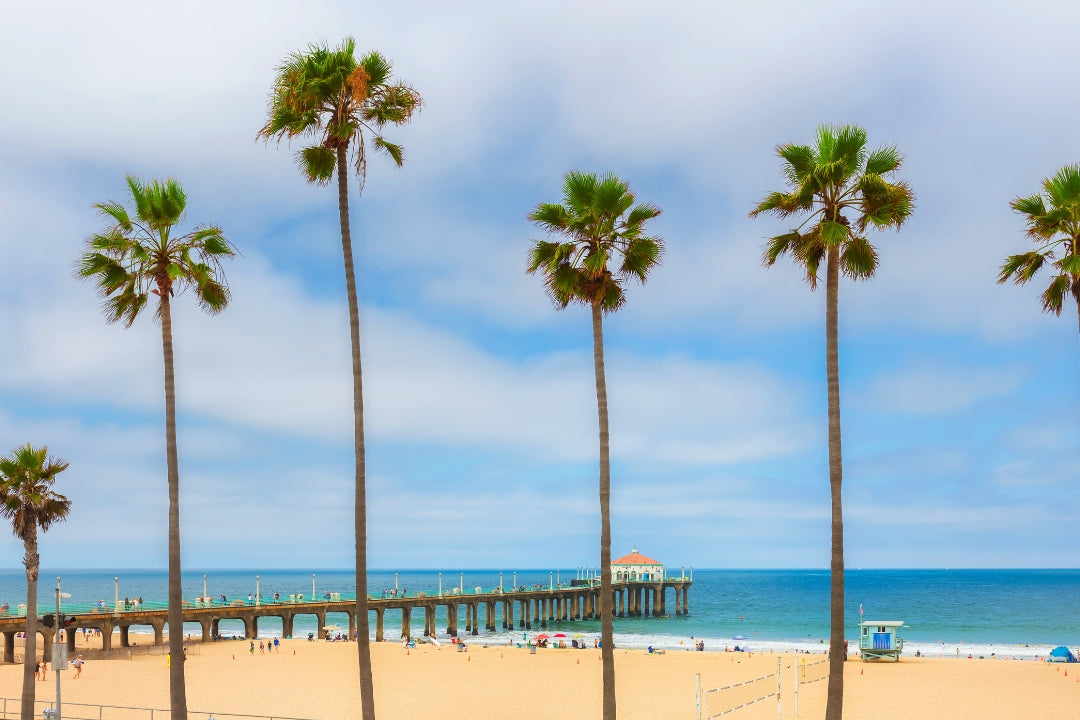 manhattan beach pier and tall palm trees