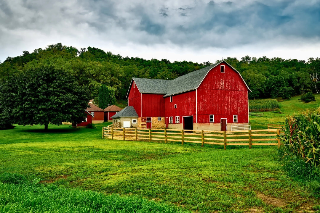 red barn surrounded by wooden fence and green trees