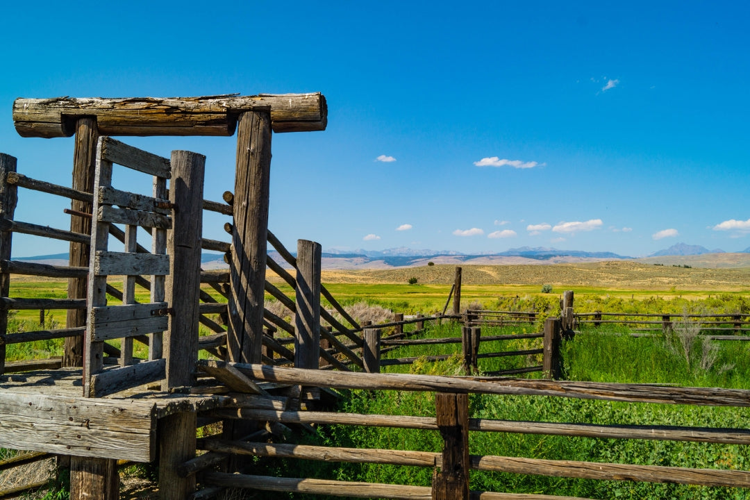 rural farm land with old wooden gate