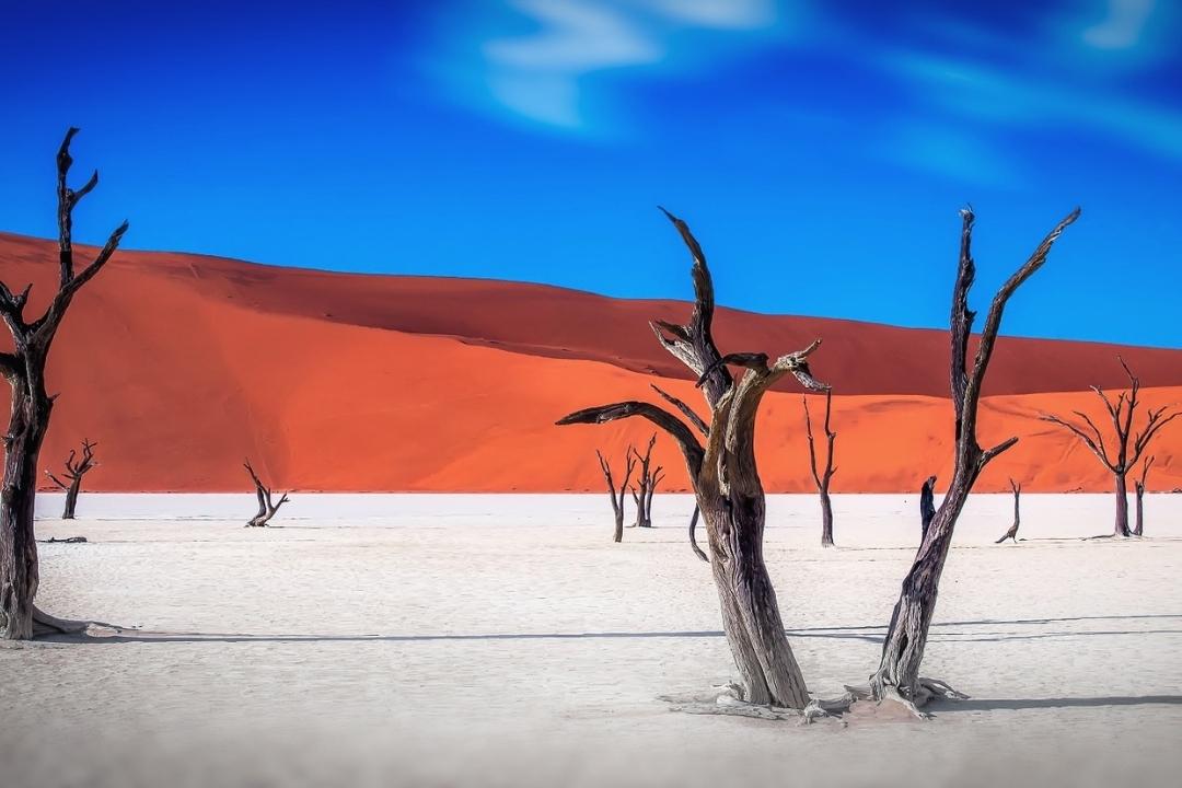 idées de voyage d'été désert du Namid dune de cuivre