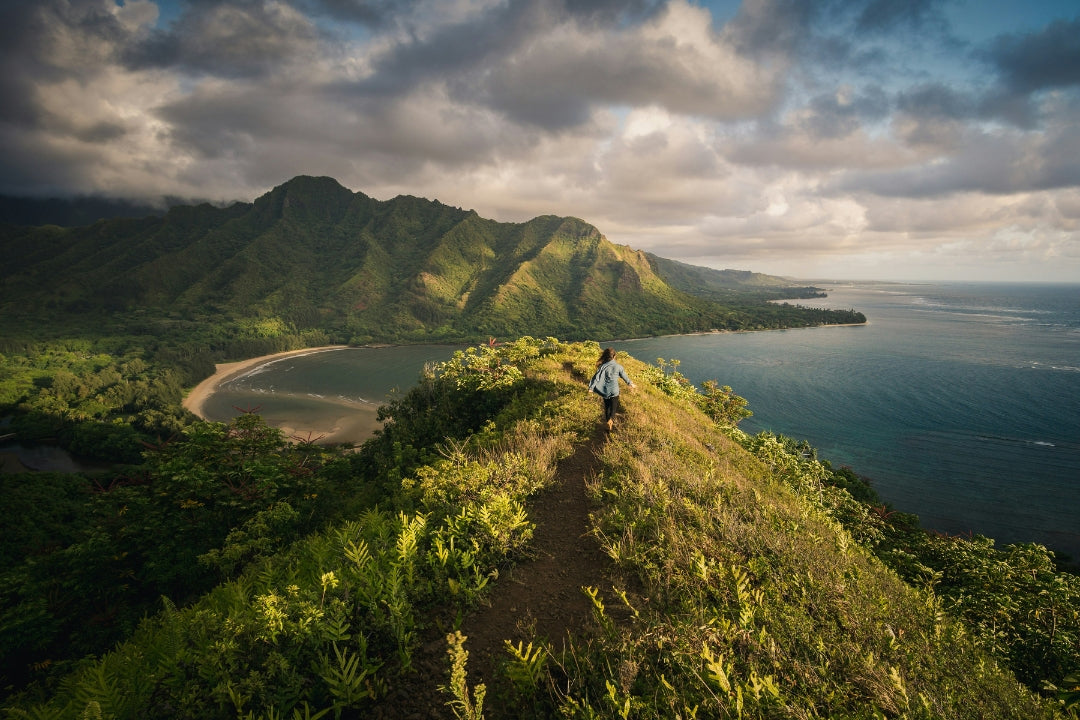 traveler on verdant hawaiian crest