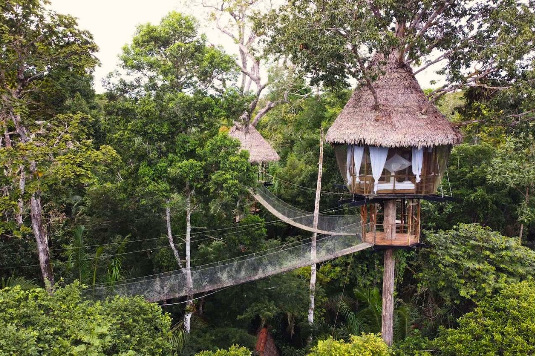 treehouse on stilts eco lodge peru