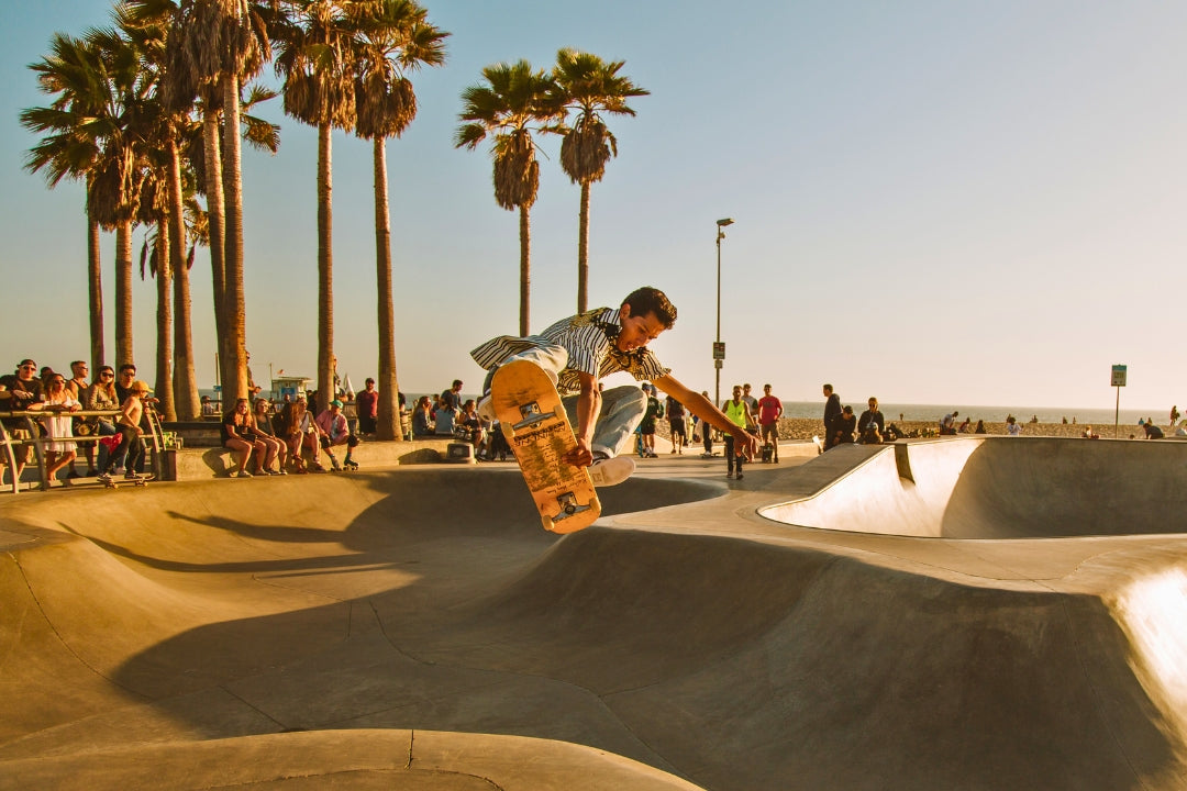 venice beach skateboarder skatepark palm trees