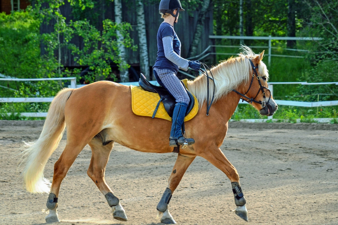 woman riding honey blonde horse