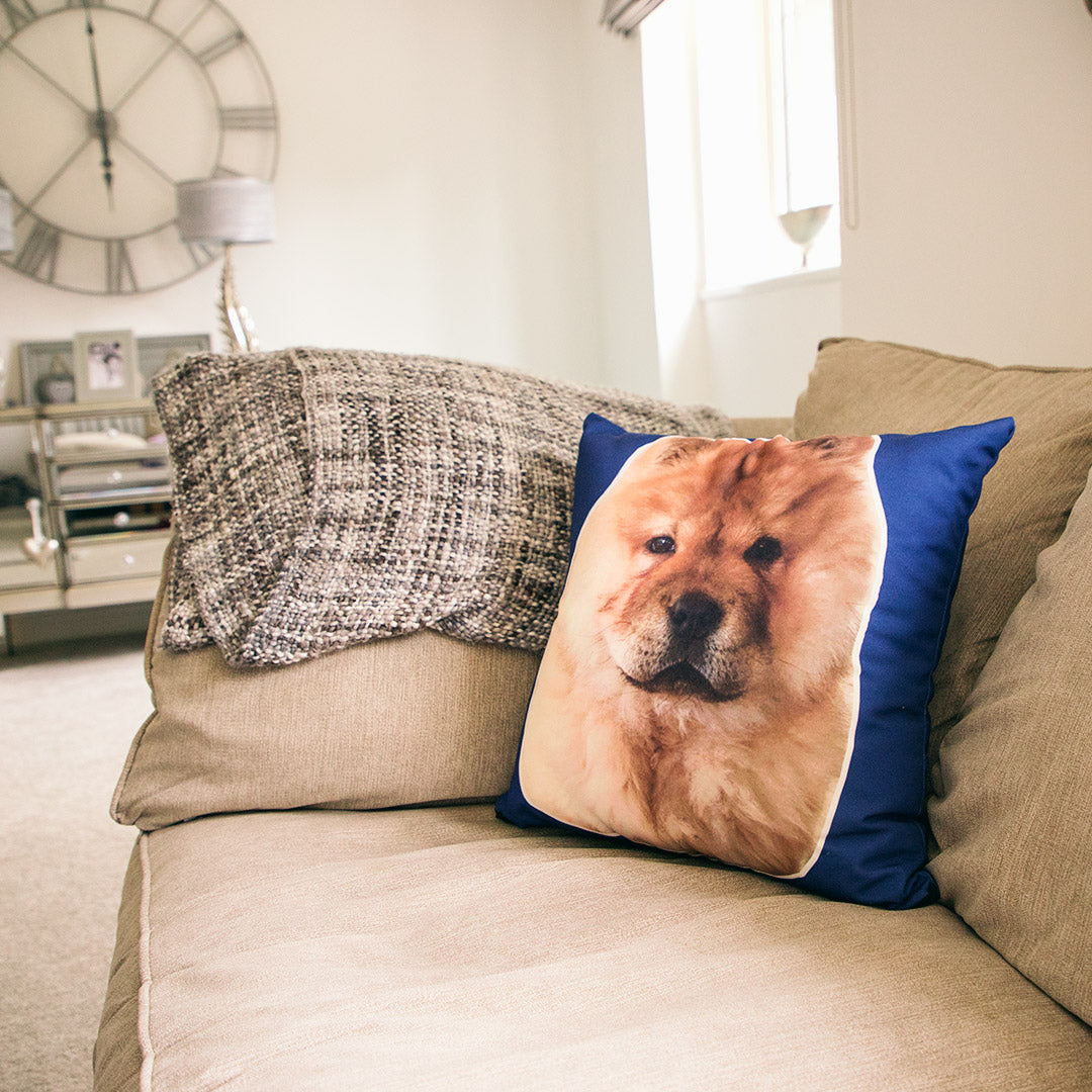 Custom dog shop cushion