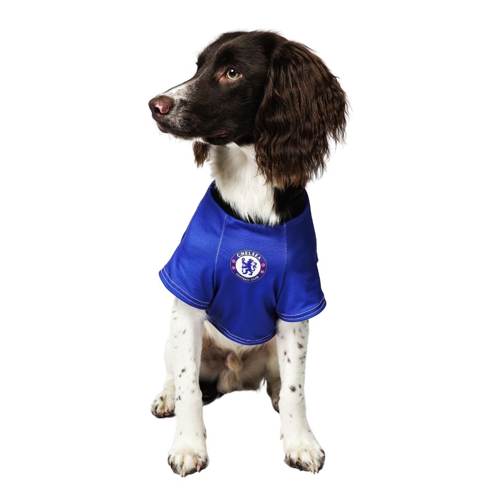 Crystal Palace FC Dog Shirt
