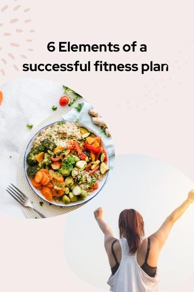 successful fitness plan