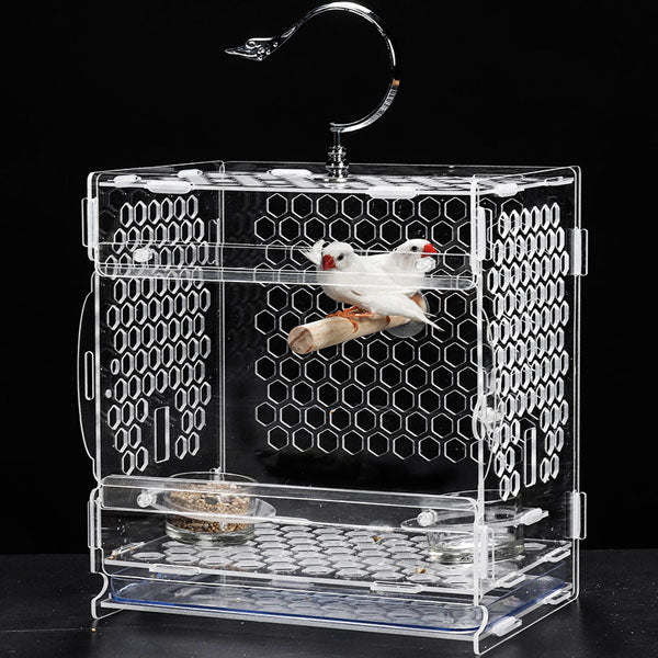 acrylic bird cage