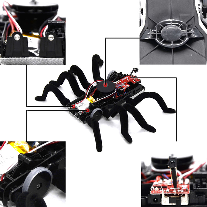 remote control spider toy