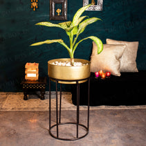 Firdaus Brass Finish Planter