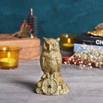 Feng Shui Coin Owl Showpiece