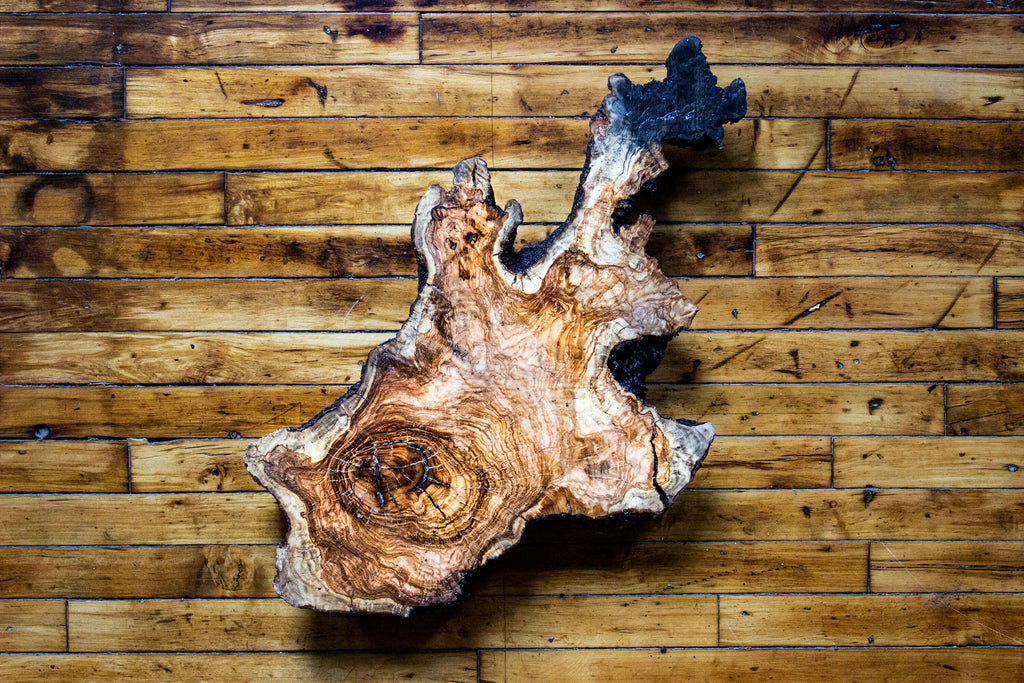 wood burl