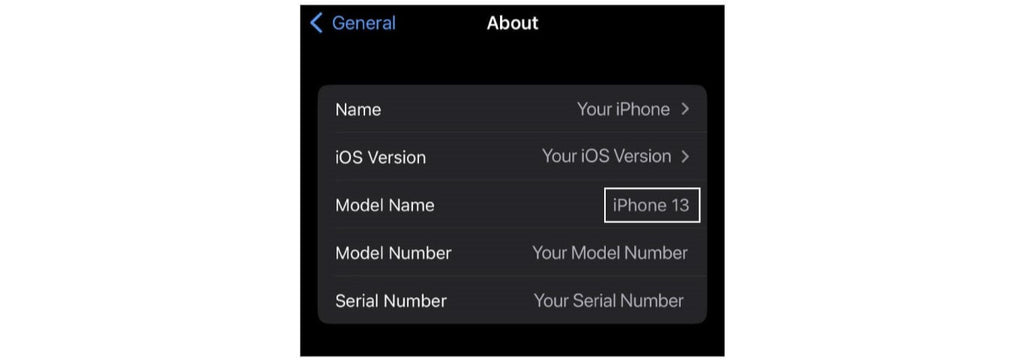 iphone model instructions