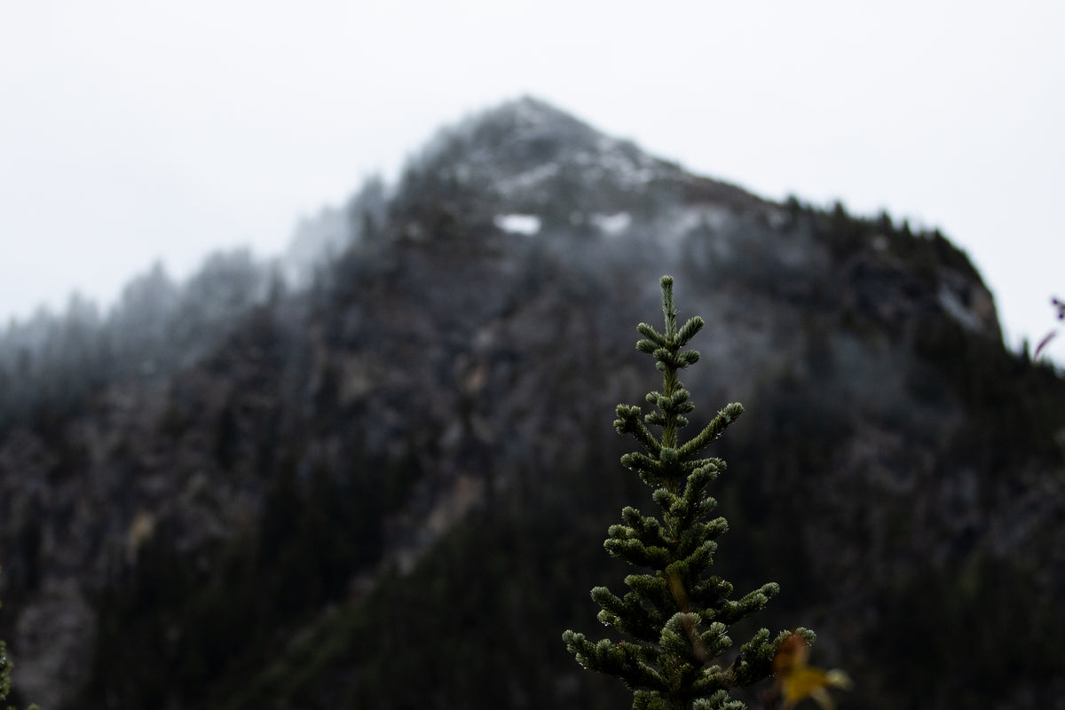 Mountain range in washington