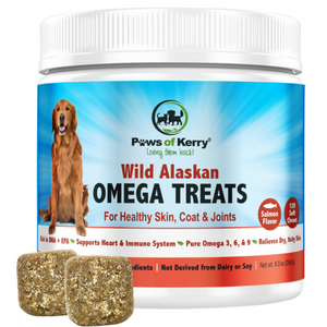 what is the best source of omega 3 for dogs