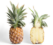 220px-Pineapple_and_cross_section