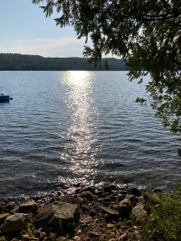 near algonquin park