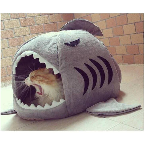 shark cat bed
