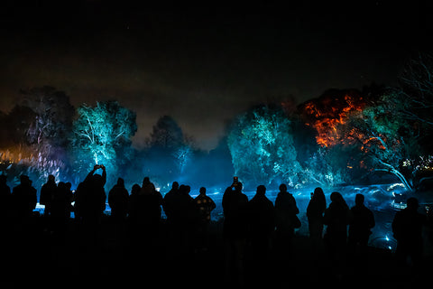 Attendees watch lasers in action at the lake in the garden.