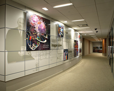 Beckman Coulter Inc - Accent Wall