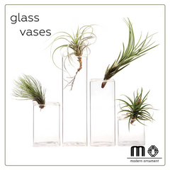 Rectangular Glass Vases