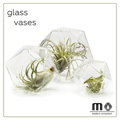 Faceted Clear Glass Vases