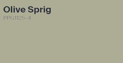 PPG Color of the Year 2022 Olive Sprig PPG1125-4