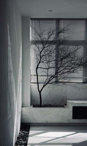 Photo of White Interior with Drapery and Tree