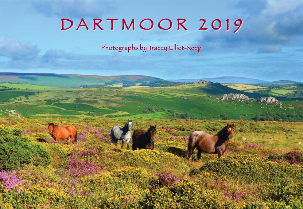 2019 Dartmoor Calendar Now Out Tracey ElliotReep