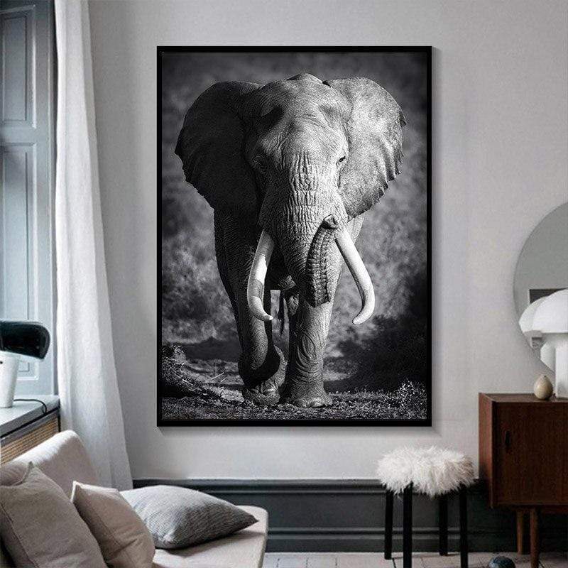 Tableau Animaux Noir Et Blanc Votre Deco Pas Cher Ruedestableaux Com