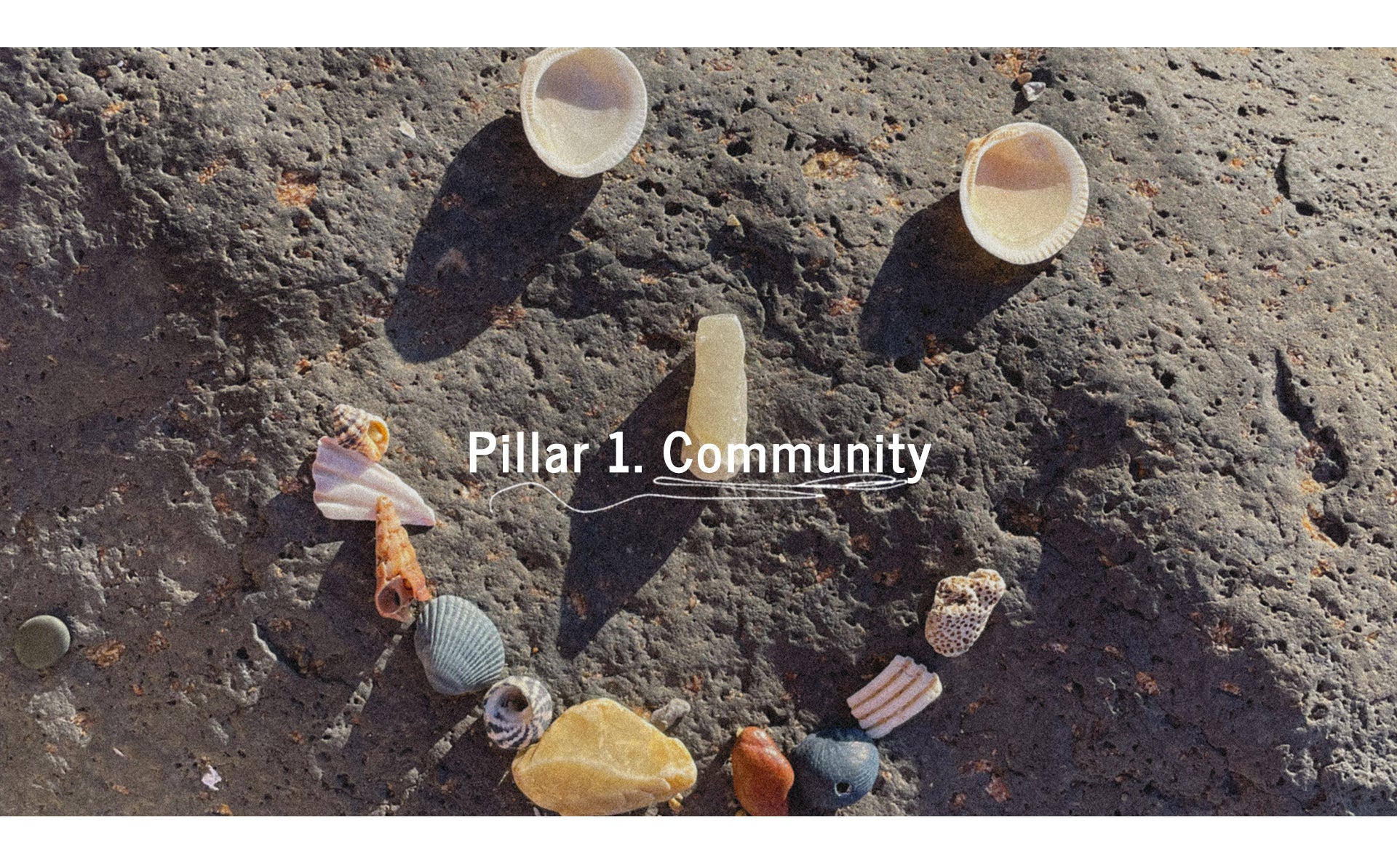 Pillar 1. Community