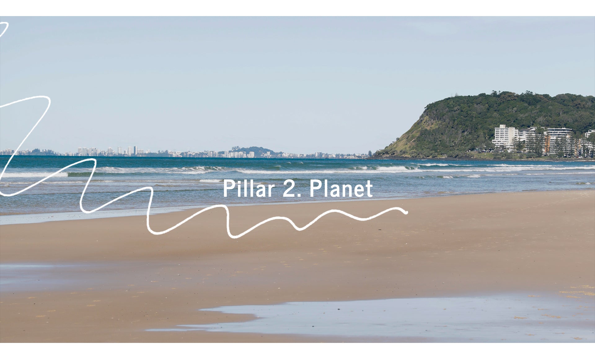 Pillar 2. Planet