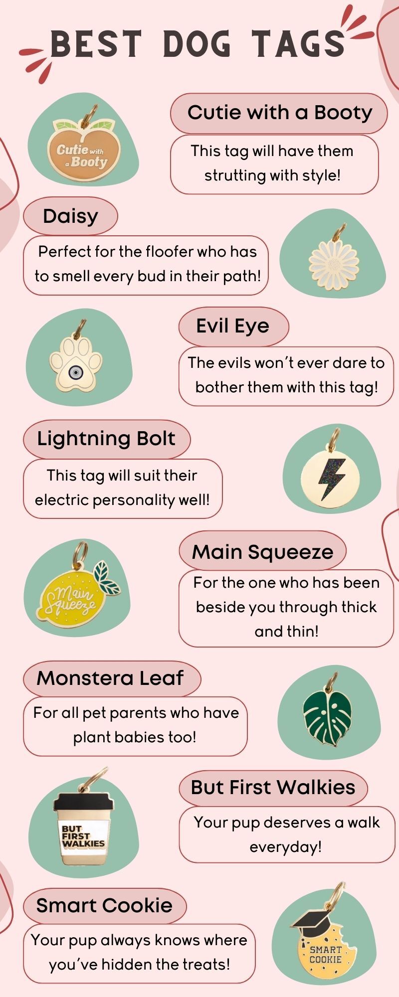 infographic of the best dog tags