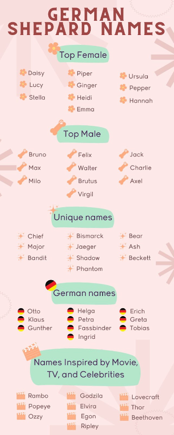 german shepard names infographic