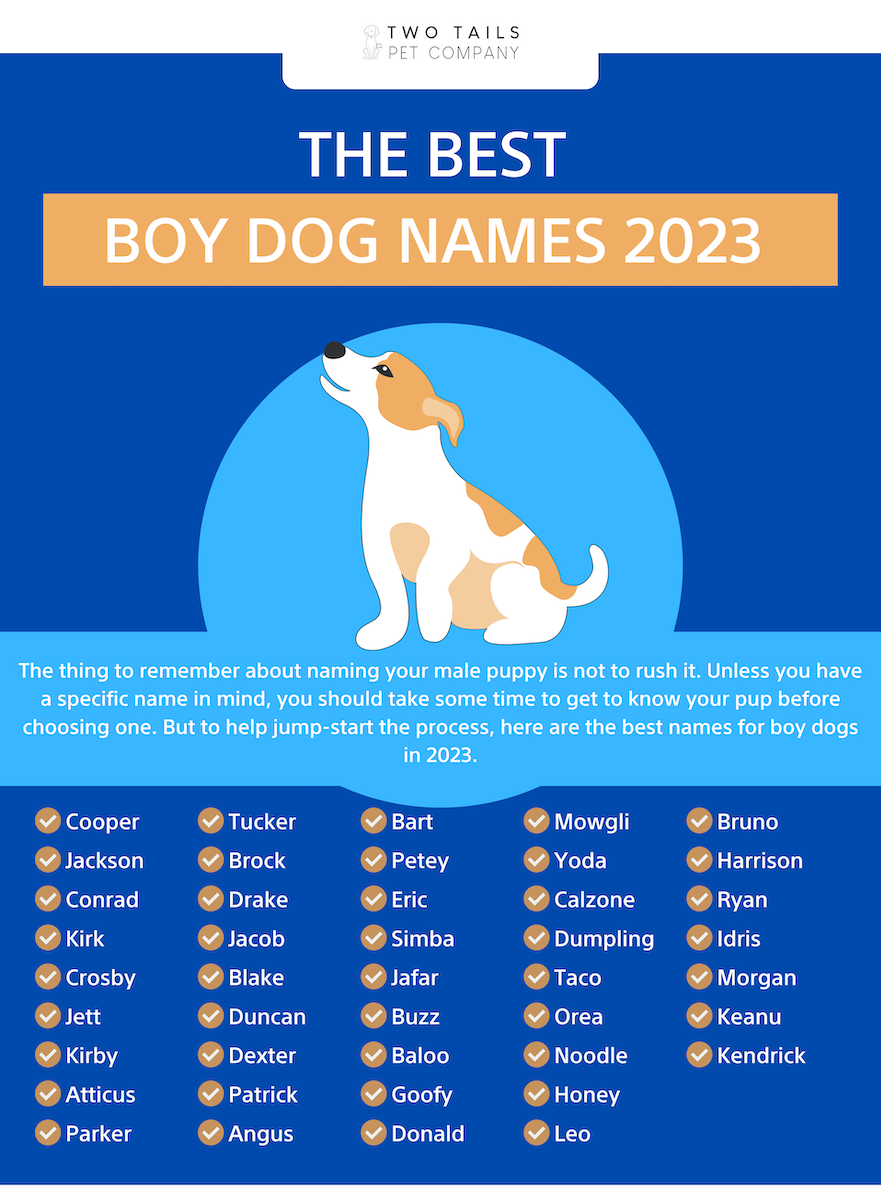 100+ Best Boy Dog Names in 2023 Two Tails Pet Company