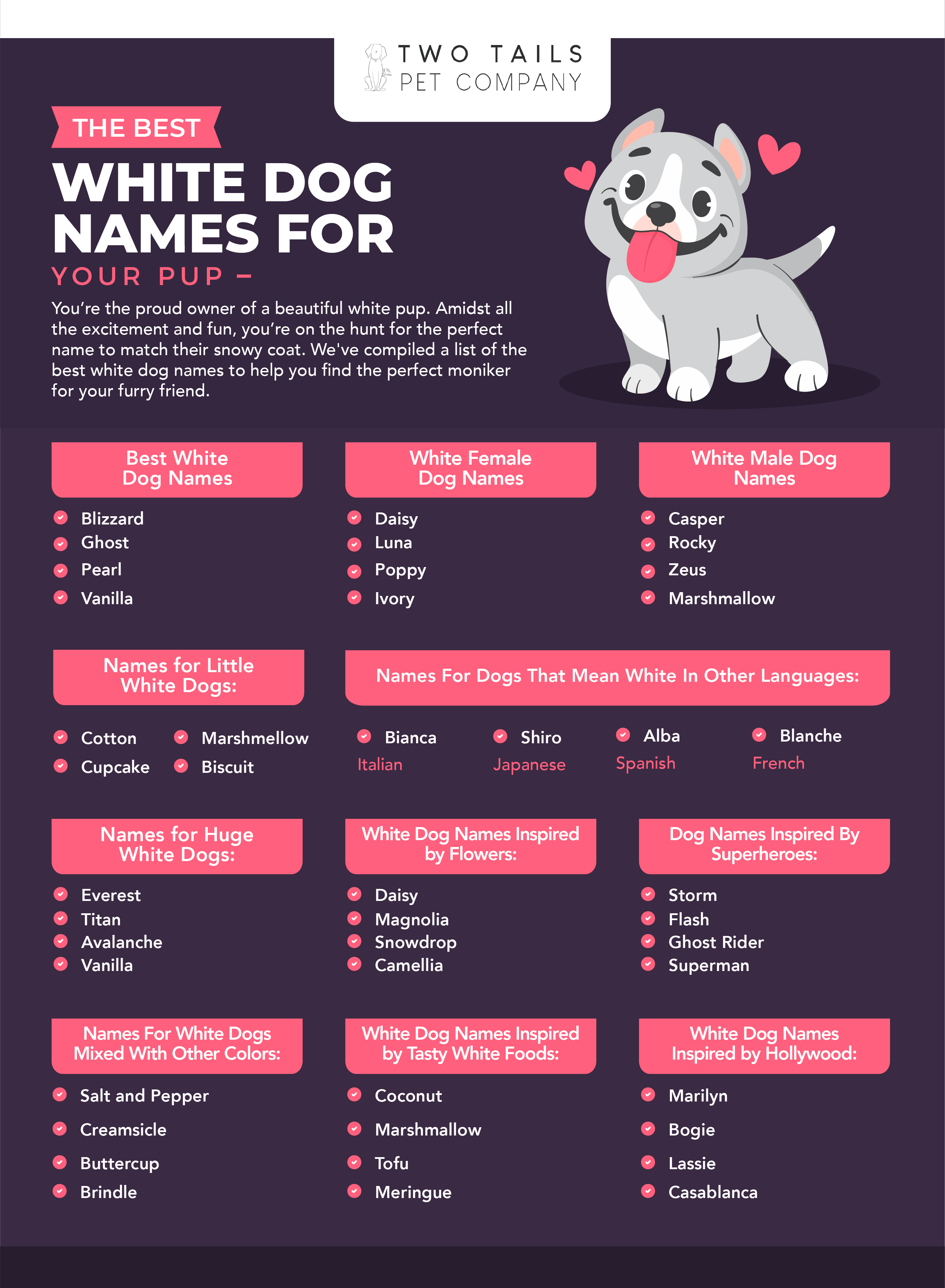 infographic of white dog names