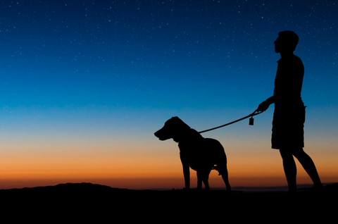 man and his dog walking at night