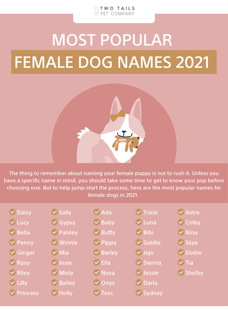 female dog names unique