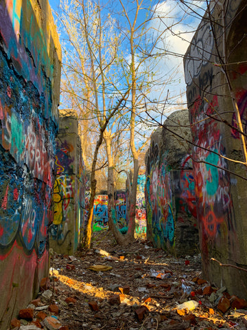 Graffitied ruins and trees in Belcher Cove, Rhode Island