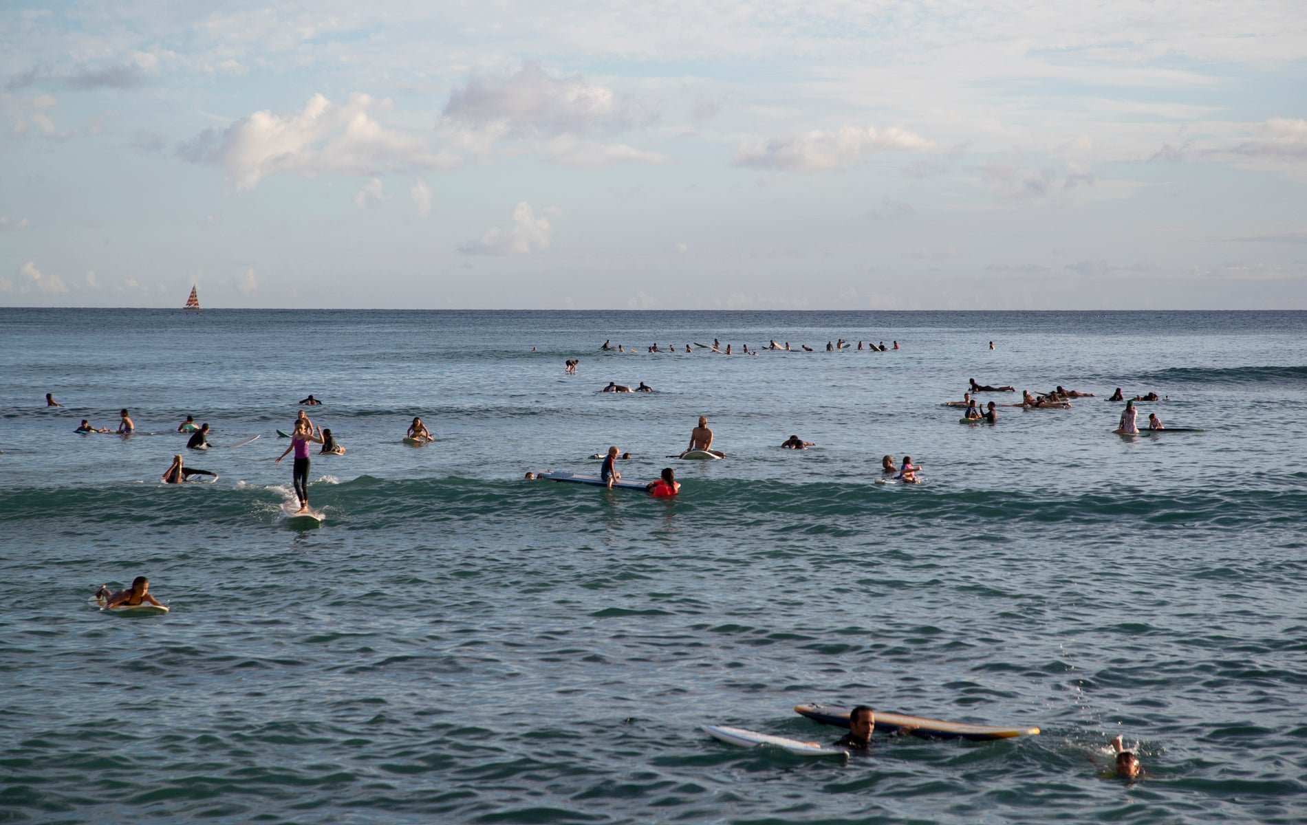 Queens surfers in the lineup