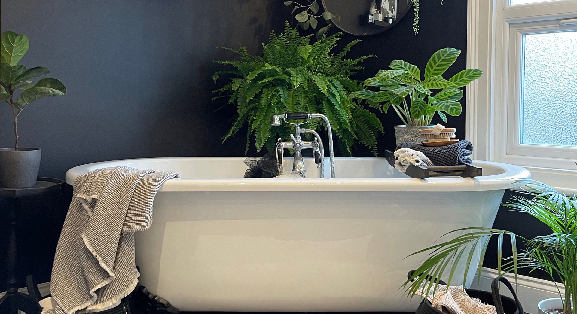 AHLT add plants in your home and bathroom to help improve air quality and boost your mood 