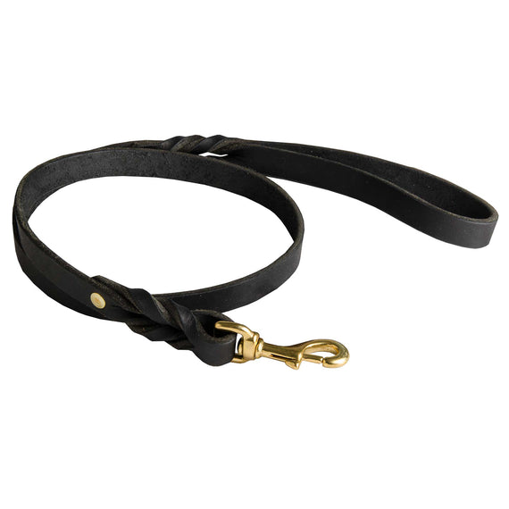 Leather leash for training and trials – DogSports4u