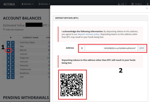 Bittrex Exchange Screenshot with an address of the cryptocurrency wallet