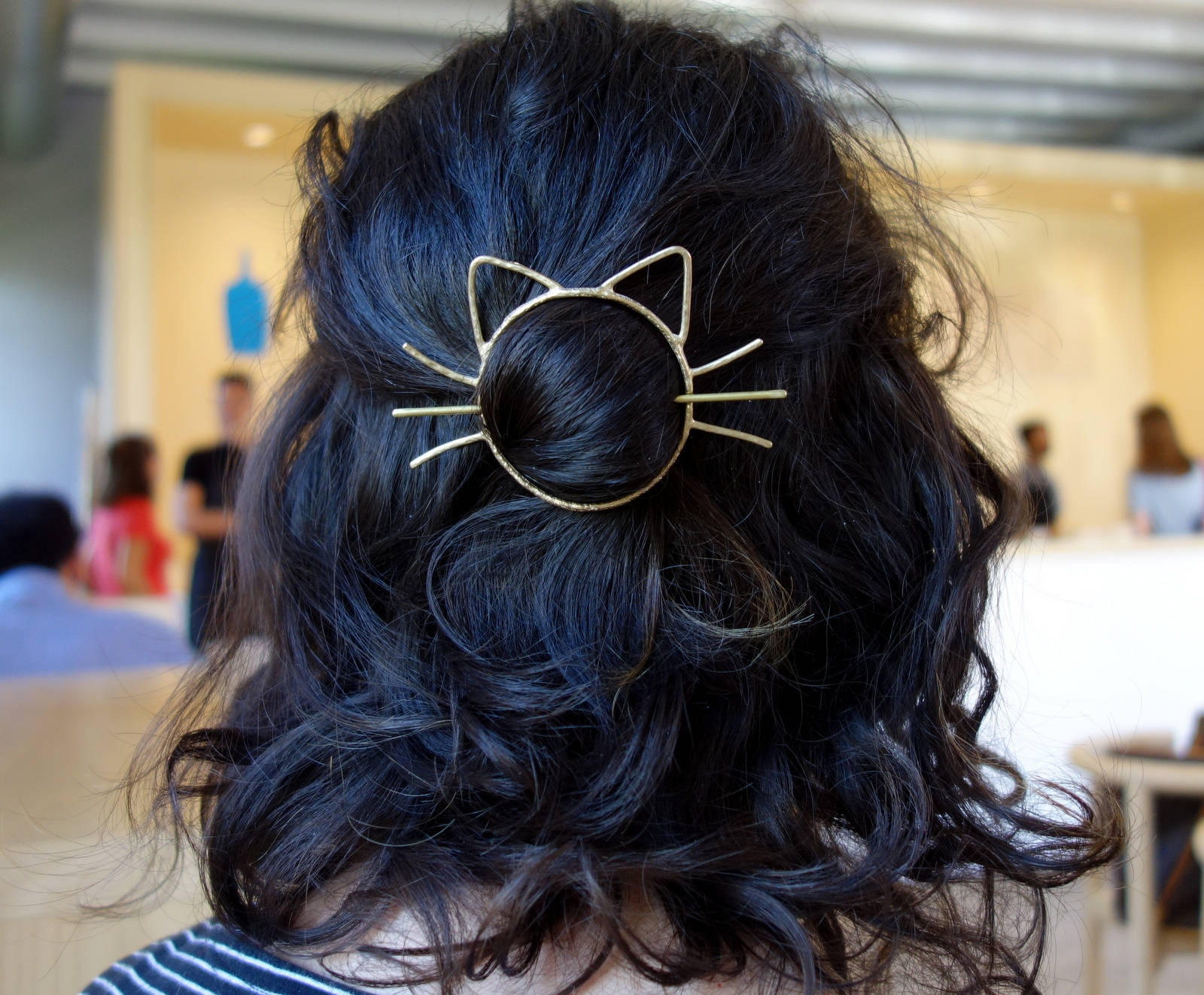 cat hair pin