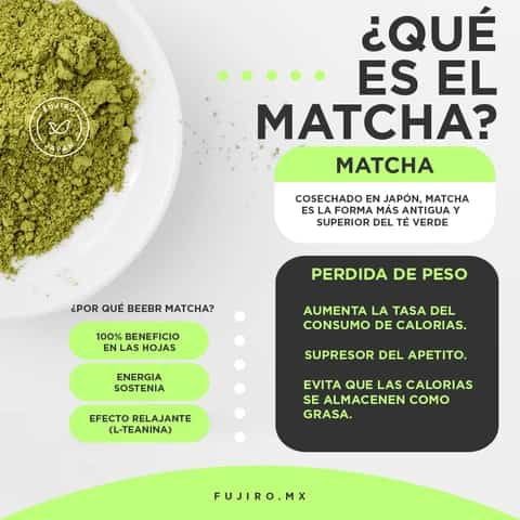 Que es Matcha y Para Que Sirve